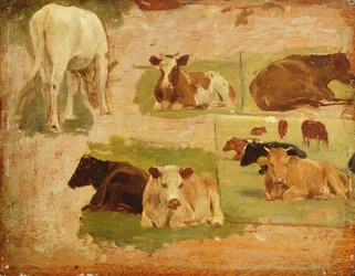 Étude de vaches